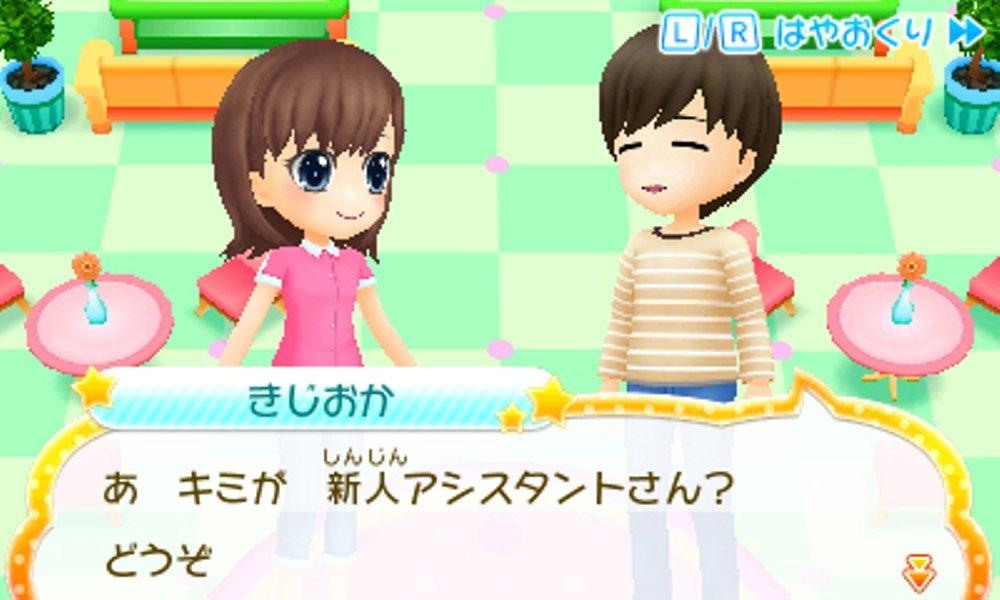 Manga Artist Debut Draw a Wonderful Manga 3DS Story -