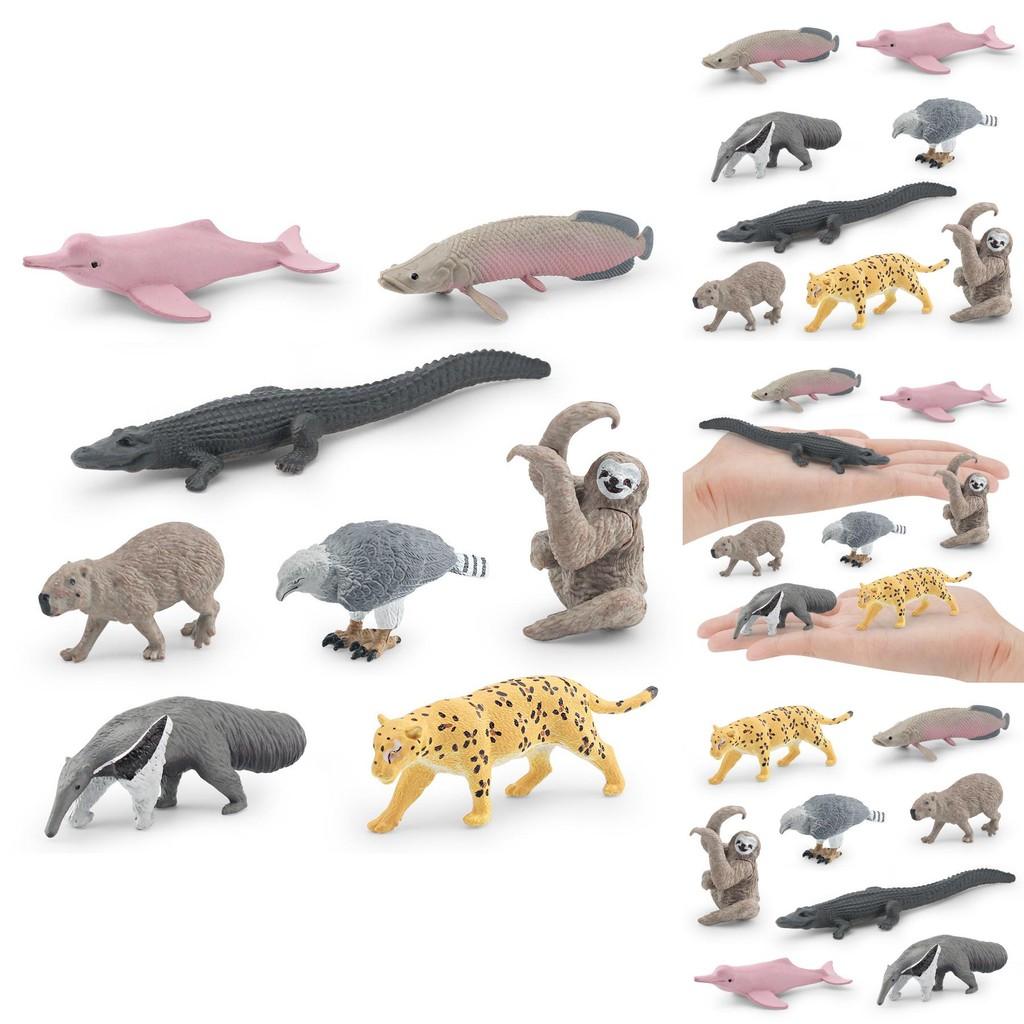 Set di Modelli di Animali Sudamericani Coccodrillo Delfino Decorazione in Plastica Per Appassionati di Natura