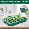 24/48 Holes Seedling Tray Kit with Adjustable Ventilation Lid Seed Starter Germination Box for Balcony Indoor Planting Transpla