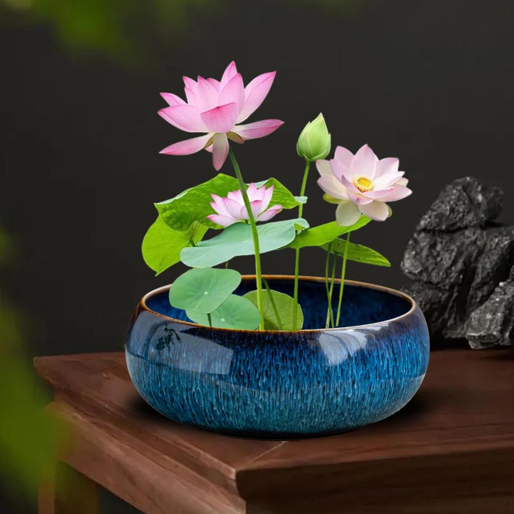 Bonsai Bowl Ceramic Planter for Indoor Plants Lotus Planting In Water Indoors