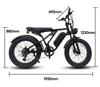 YANGOR Y-24 Electric Bike, 250W Motor, 48V 20AH Battery, 24*4.0-inch Tire, 42km/h Max Speed, 120km Max Range