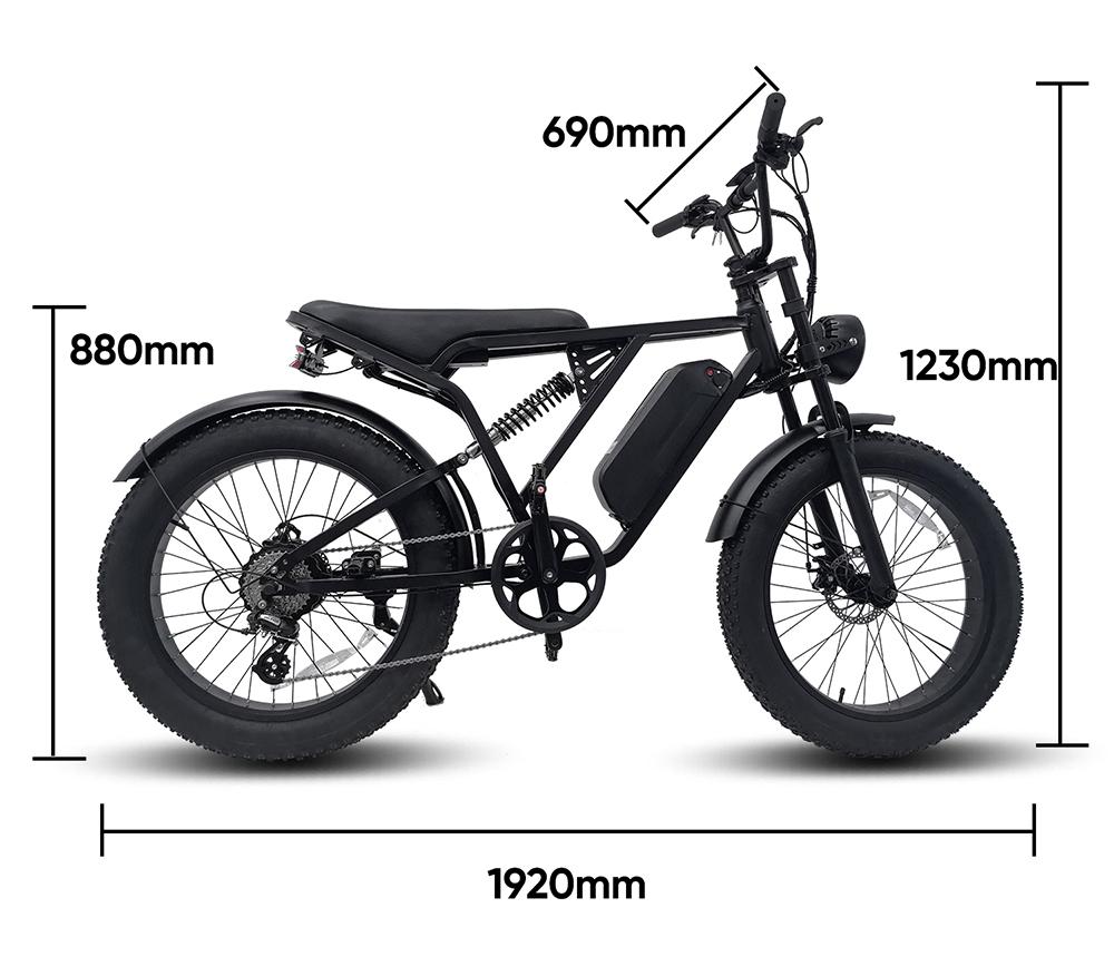 YANGOR Y-24 Electric Bike, 250W Motor, 48V 20AH Battery, 24*4.0-inch Tire, 42km/h Max Speed, 120km Max Range