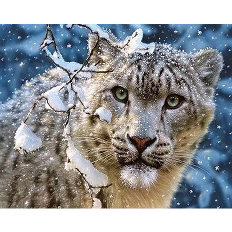 5d Diy Diamond Painting Snow Leopard Embroidery Cross Stitch Rhinestone Mosaic Home Decor At Affordable S Free Shipping Real Reviews With Photos Joom - Snow Leopard Home Decor 5d Diy Diamond Painting Snow Leopard Embroidery Cross Stitch Rhinestone Mosaic Home Decor At Affordable S Free Shipping Real Reviews With Photos Joom - Snow Leopard Home Decor