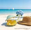 Conch Shell Electroplated Jewelry: Handmade DIY Necklace, Pendant, Bracelet, Earrings, Charms Accessories