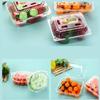 Disposable Fruit Takeaway Containers
