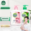 Dettol Antibacterial Hand Wash Set (Moisturizing & Pine)