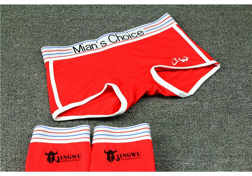 Plus Size Women's Cotton Cartoon Triangle Boxer Briefs with Lettered Wide Waistband