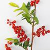 New Year's Spring Festival simulation feel rich fruit, home lazy fruit branches decorative foam fruit, simulation rich fruit flowers