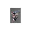 Bandai Spirits MG Strike Rouge Ootori Equipment Ver.RM 1/100 Scale Color-Coded Plastic Model Gundam SEED Destiny