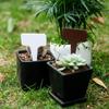 PVC Plastic Plant Labels: Insertable Garden Signs for Flowers, Succulents, and Orchids - Special Offer