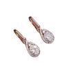 Moissanite Long Fringed Earrings Women'S Moissanite Water Drop Ear Buckles Premium Earrings
