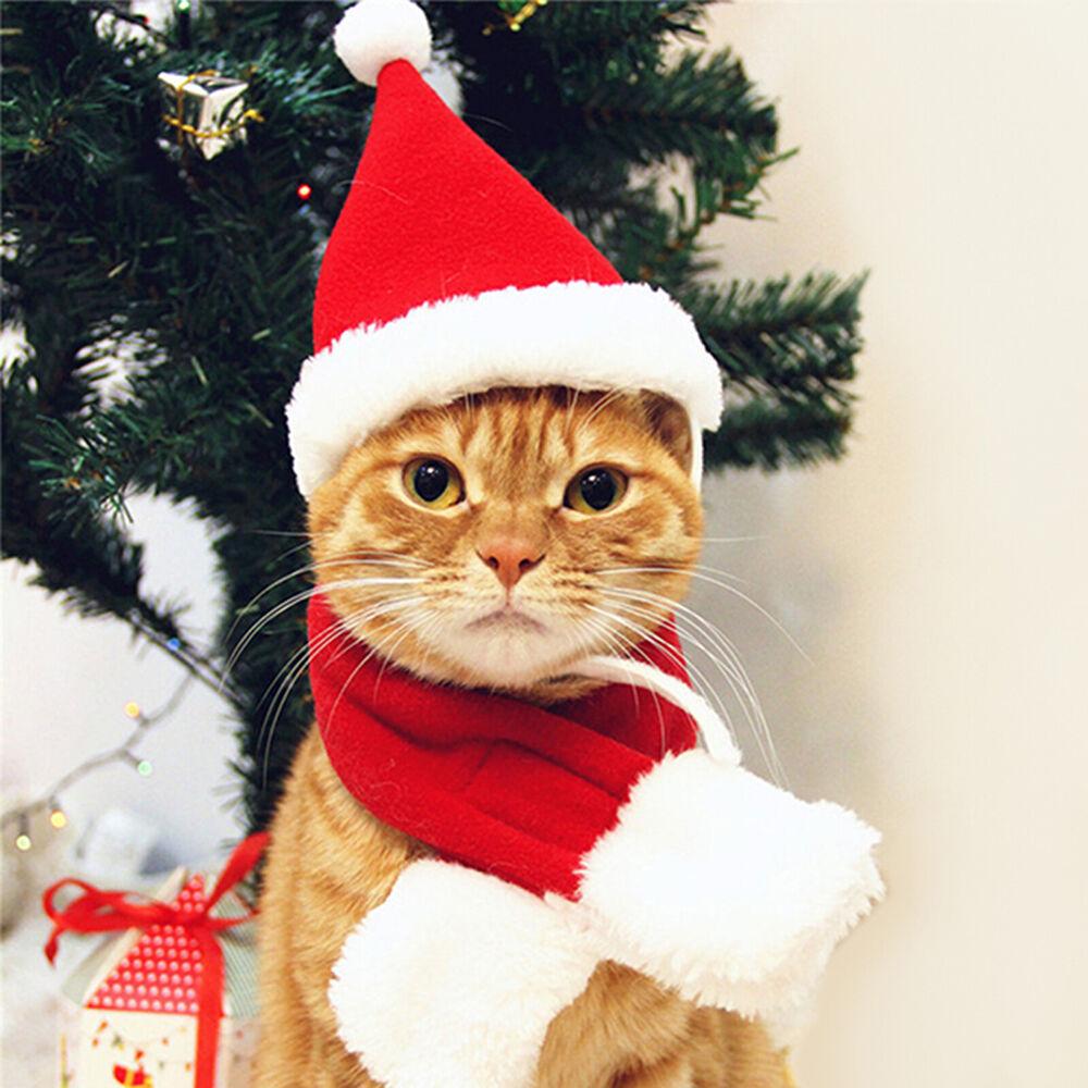 Christmas Pet Santa Hat + Scarf for Cats Dogs Puppies Xmas Decoration Costume