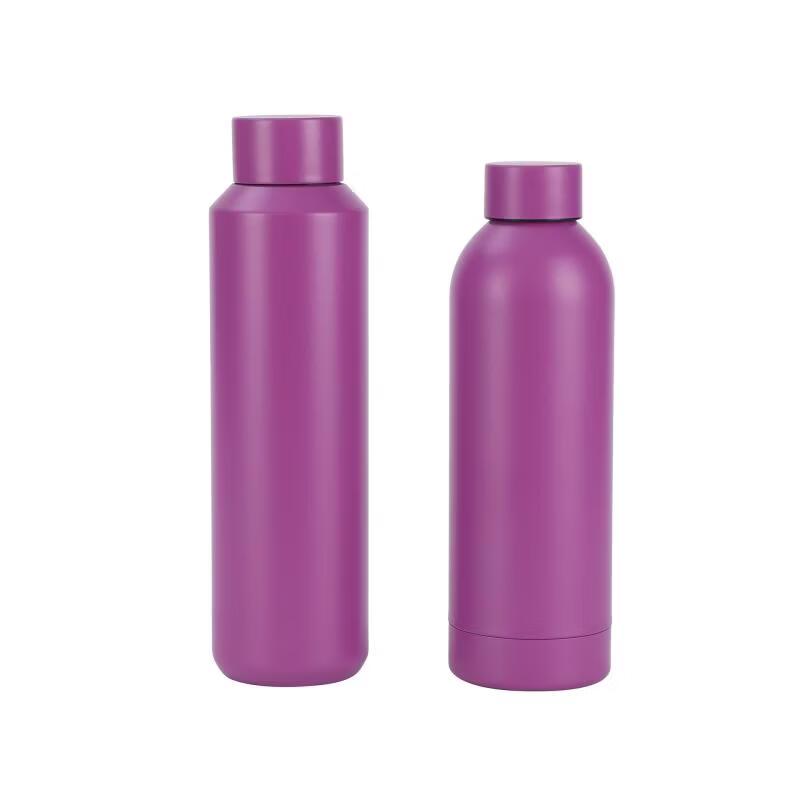 Shangqi Portable Stainless Steel Water Bottle