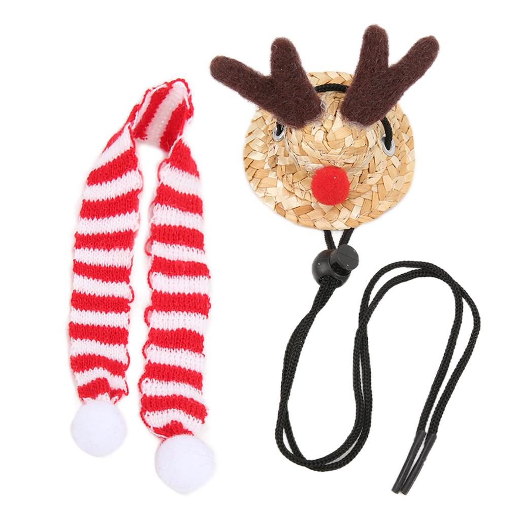 Skäggagam Jultomtehatt Halsduk Reptil Justerbar Halm Älg Hatt och Halsduk Julkostym för Högtidsfest Foton