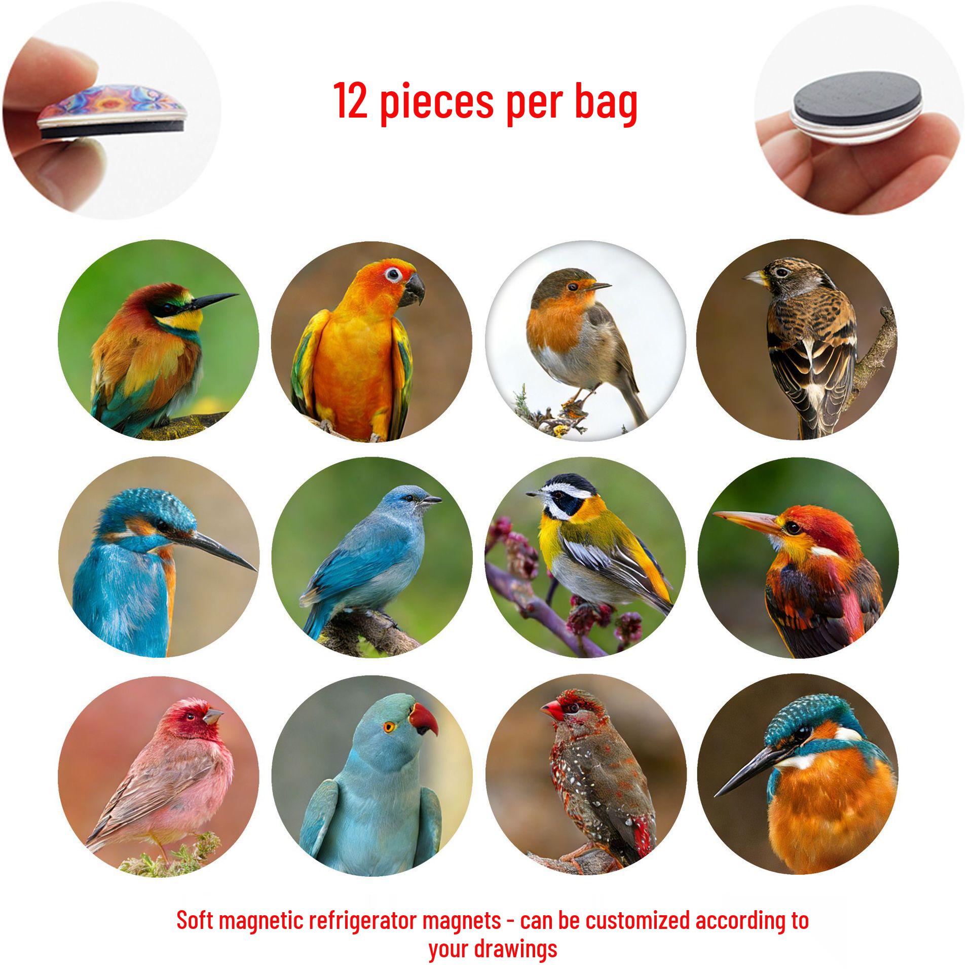 

Bird Series Glass & Magnetic Refrigerator Stickers: Hummingbirds, Parrots, Kingfishers, Sparrows & More 25 mm Refrigerator Magnets Set of 12