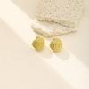 Metal Wind Light Luxury Earrings Trendy Retro Temperament Stainless Steel Geometric Stud Earrings Women'S Exaggerated Niche Earrings