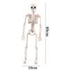 Simulation Halloween Human Body Skeleton Haunted House Full Body Skeleton Party Props Home Decoration for Carnival Theme Parties