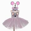 Festival Raccoon Cosplay Costume Girls Annimal Dress Up Tutu Dress Fancy Carnival Birthday Fantasy Children Zoo Vestido