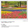 Yanoman [Made In Japan] 108-Piece Jigsaw Puzzle, Large Pieces, Japanese Landscape: Blooming Showa Memorial Park, Tokyo (26x38cm), 01-2090, Includes