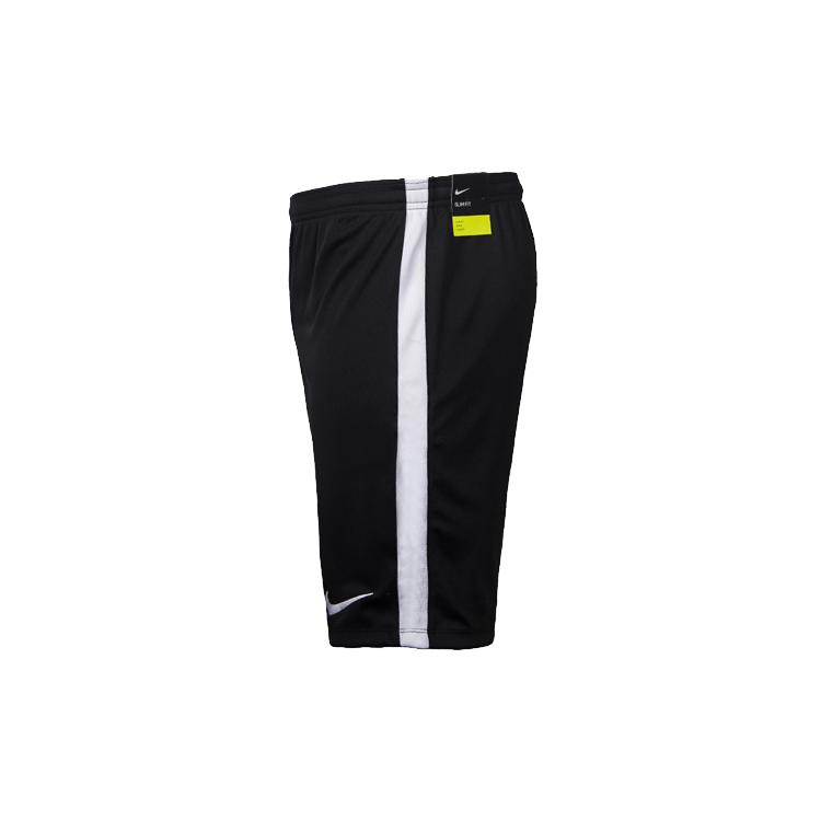 Nike Sports Shorts Men's Thin 832900-010