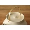 Kamoshika Douguten 1L Kettle, Gas and Microwave Safe, Made In Japan, Banko Ware Ceramic and Brass, for Direct Heat, Ceramic Kettle (White, Small)