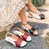 Women's Summer New Color Block Low Heel Sandals Plus Size Open Toe Heeled Sandals