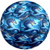 1pc Blue Dragon Fantasy Theme Soccer Ball Football, Size 5, Lightweight PVC, Outdoor Training Soccer Ball,Gift C6543