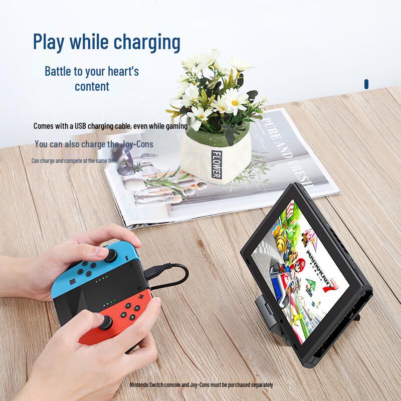 Nintendo Switch Controller Charging Grip