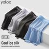 Yalu Men's Ice Silk Mesh Boxer Briefs 4-Pack