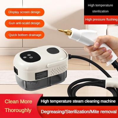 Hochtemperatur-Dampfreiniger, kleine Sterilisations- und Milbenentfernungs-Begasungsmaschine, Küchenöl-Dampfreinigungsmaschine, 2500 W