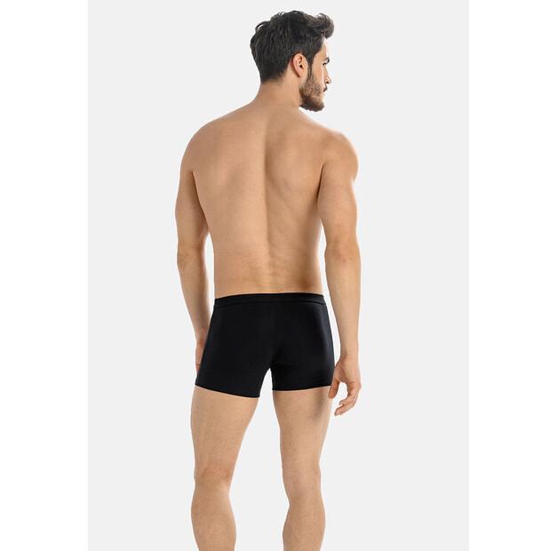 Боксеры Teyli Levi