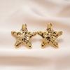 Acrylic Pentagram Pleated Glossy Steel Needle Stud Earrings Versatile Earrings