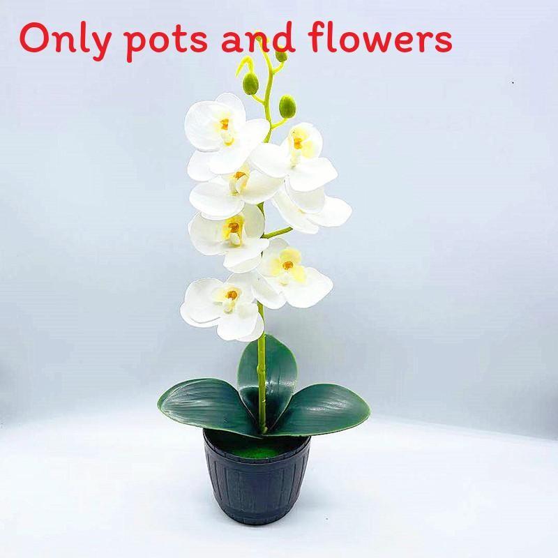 Phalaenopsis Artificial Aphrodite Rchb Potted Plant  For Gift And Interior Decor