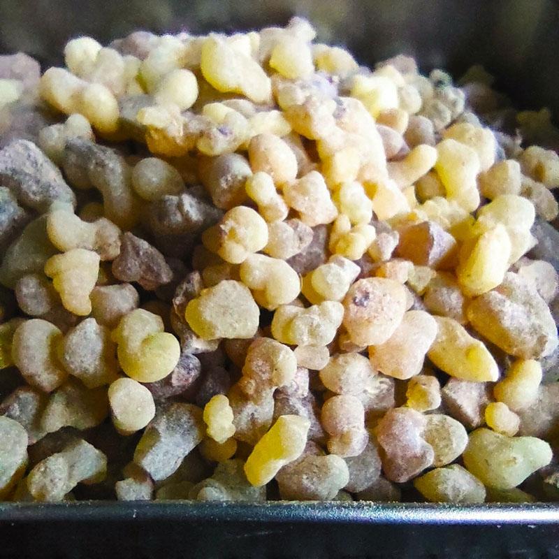 200g Natural Frankincense Incense Cones In Iron Box Resin Organic Somalia Incense Brock Oliban Medicine Hydrosol Frank Incense