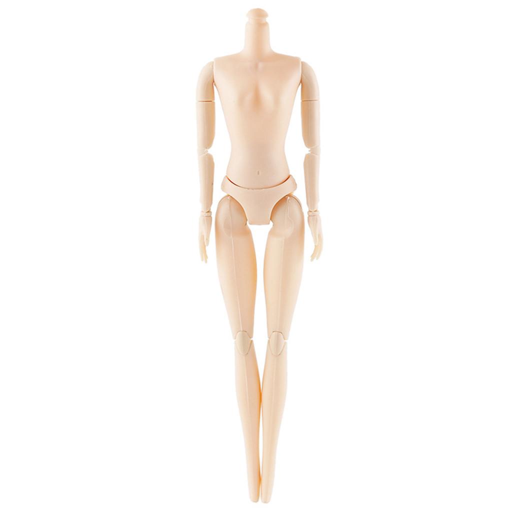 30cm Human Body Figure Model Educational Realistic Male Female Human Body Structure for Kids Scientific Cognitive Toys