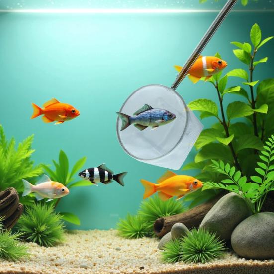 

Fish Net Aquarium Cleaning Tool with Long Handle Fine Mesh Easy to Use Small Fish Shrimp Net Fish Tank Catching Net Small Square