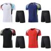 Unisex Badminton Sport Set Quick-Dry Breathable Training T-Shirt Shorts Outdoor Court Play