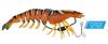 Chasebaits Flick Prawn King 180 Mm 49 Grams Sinking Lure 04 (6086)