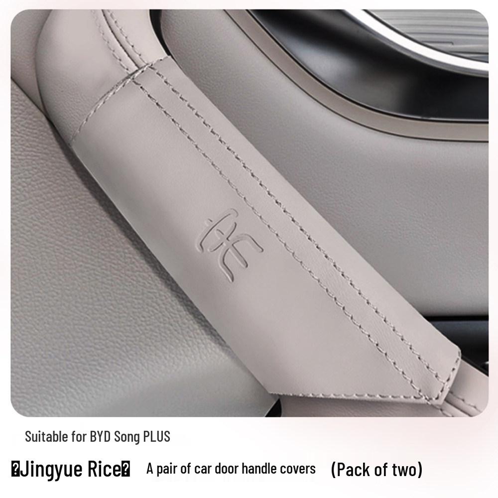 BYD Song PLUS/PRO Door Handle Cover - Champion Edition Decorative Interior Trim