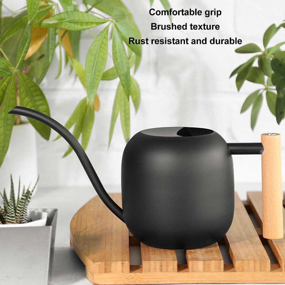 No Spill Long Spout Watering Can Long Neck Spout Stainless Steel Watering Can For Succulents