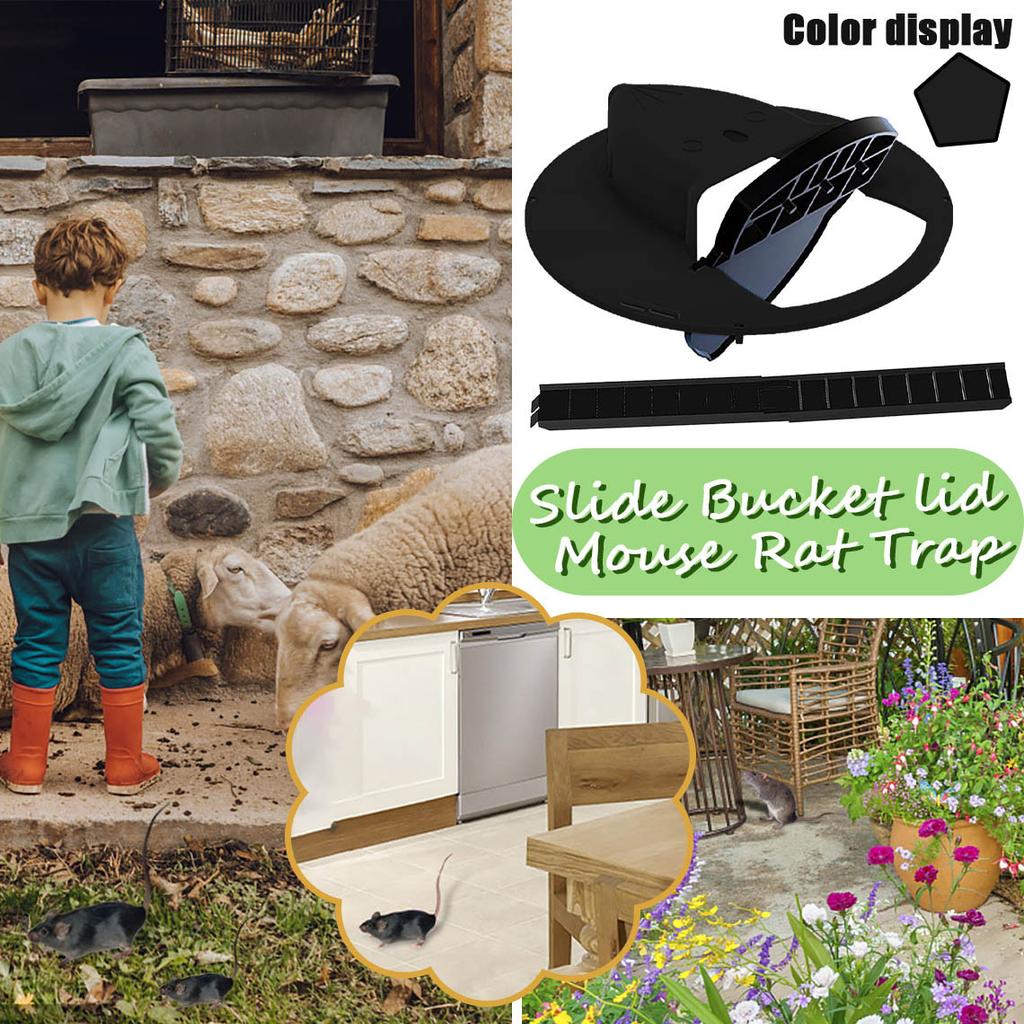 Bucket Lid Mouse Trap Humane Or Lethal Trap Door Style