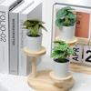 INS Style Small Artificial Grass Plant Ornaments for Indoor Decoration and Flower Display