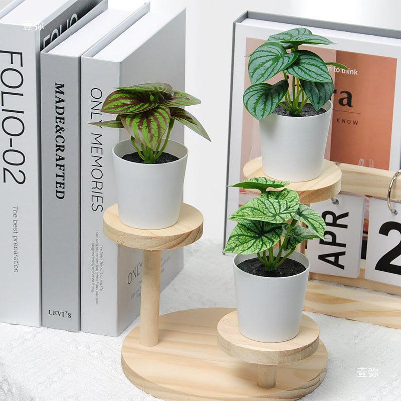 INS Style Small Artificial Grass Plant Ornaments for Indoor Decoration and Flower Display