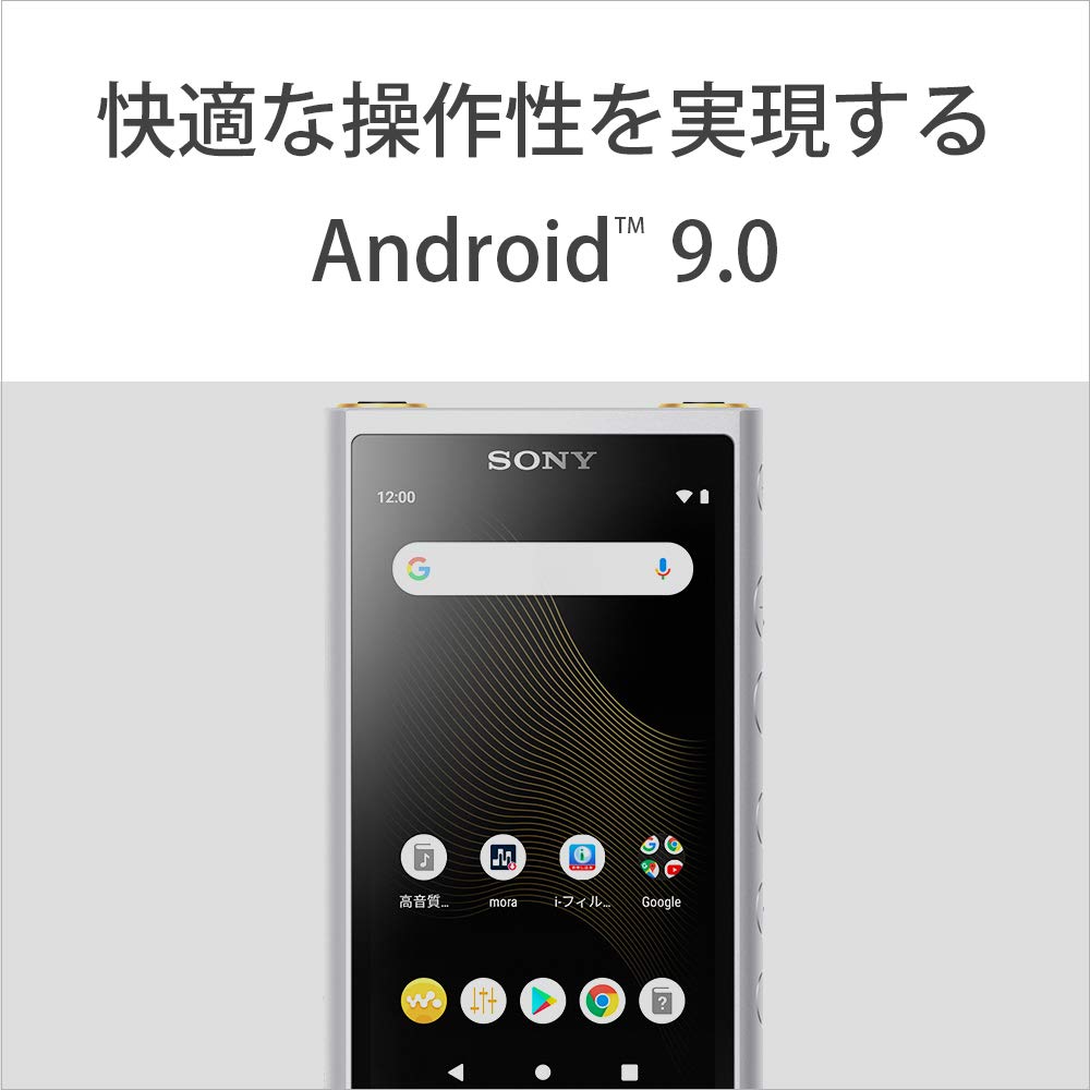Sony Walkman 64GB ZX Series Audio MP3 MicroSD Touch Up to 20 Hours of Continuous 360 Reality Audio SM NW-ZX507 High-Resolution Compatible, Player,