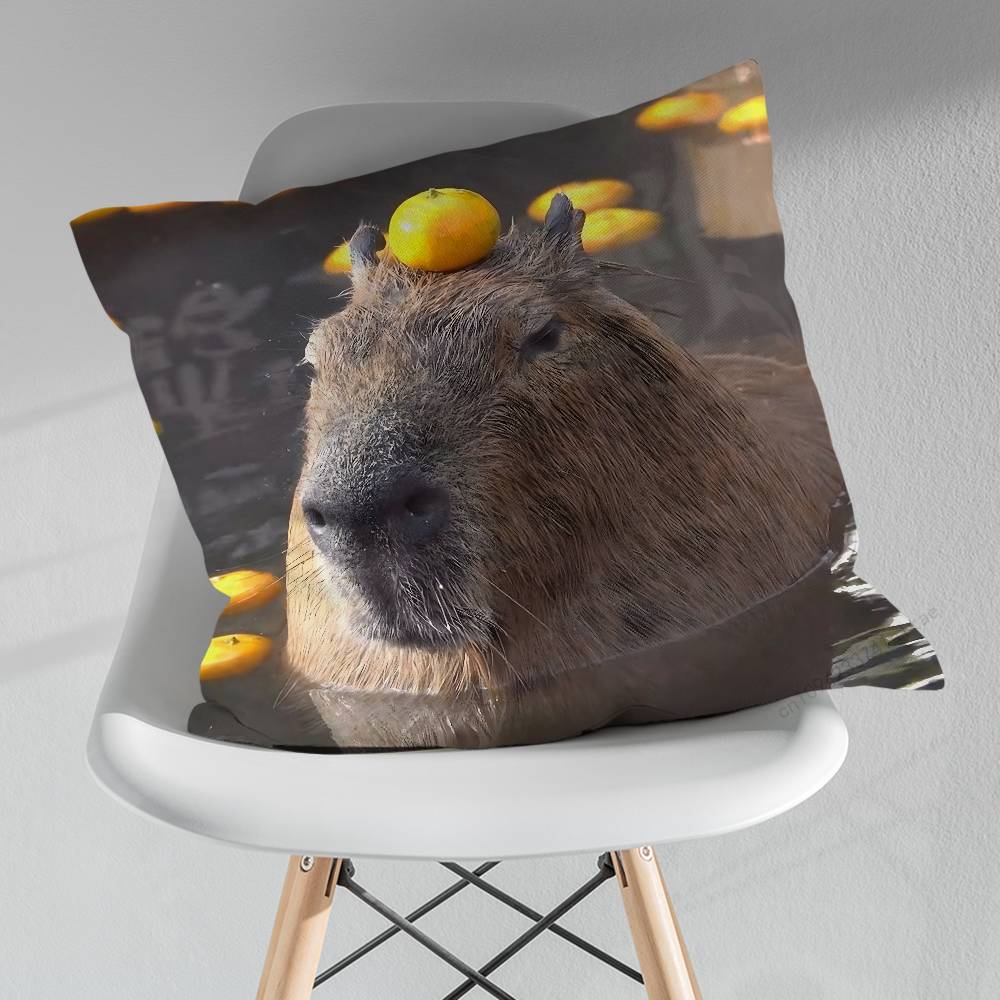 Cute Lindos Capibaras Various Sizes Square Pillow Case For Car Home Bedchamber Decor Birthday Gift
