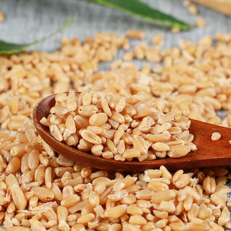 Chá de ervas orgânico de trigo de alta qualidade selecionado, especialidade chinesa 500g