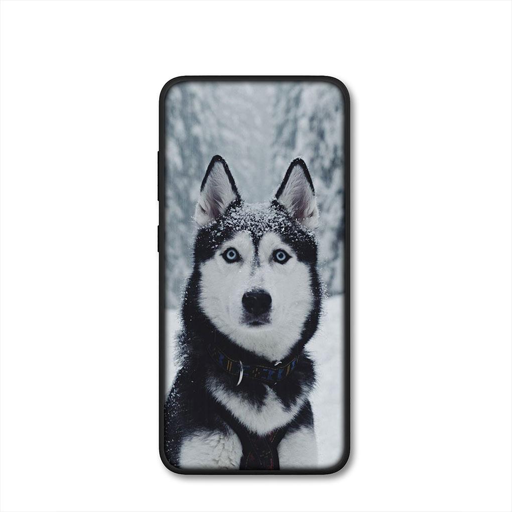 Bella Copertina per Telefono Divertente con Cane Husky per Samsung Galaxy S25 Pro S23 S22 S24 FE Ultra S10 Plus A05 A06 A15 A16 A26 A35 A36 Custodia