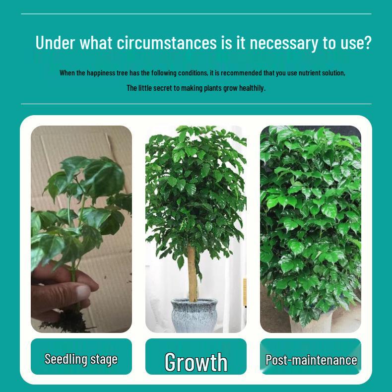 Concentrated Nutrient Solution for Indoor Green Plants & Flowers