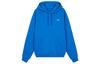 Originals Shmoo FW22 Sweatshirt Men's Blue HK9866