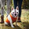 Dog Special Muzzle Buckle Design Wear-resistant Tear Resistant Professional Innovative Anti-bite Nylon Mesh Short